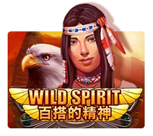 Wild Spirit - IDAGENT138